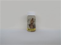 藏品(紅嘴黑鵯)的圖片